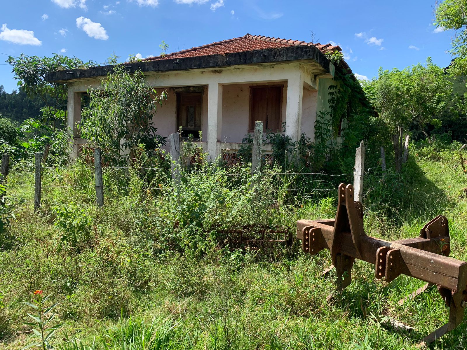 Sítio a venda no município de Toledo-MG. Localizado a 10 km da cidade | Código: 1080