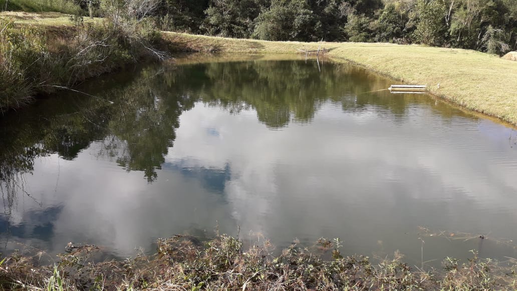 Belíssimo sítio a venda no município de Toledo-MG. Riquíssimo em água; com tanque de peixe, lago | Código 1081
