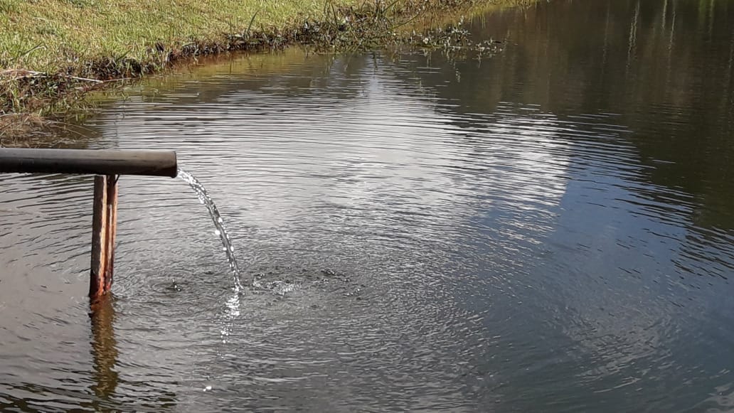 Belíssimo sítio a venda no município de Toledo-MG. Riquíssimo em água; com tanque de peixe, lago | Código 1081