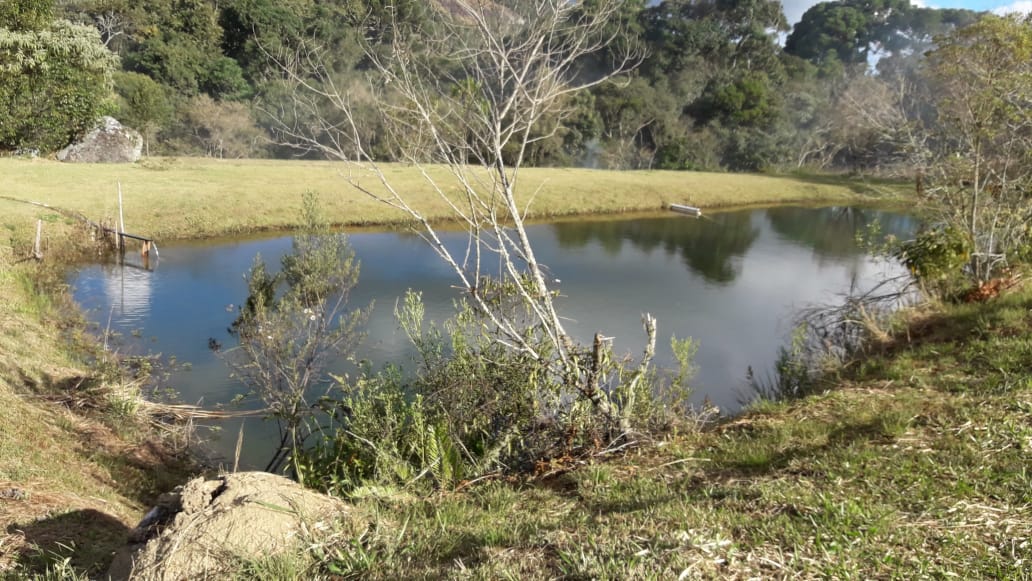 Belíssimo sítio a venda no município de Toledo-MG. Riquíssimo em água; com tanque de peixe, lago | Código 1081