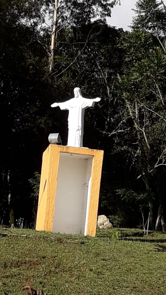 Belíssimo sítio a venda no município de Toledo-MG. Riquíssimo em água; com tanque de peixe, lago | Código 1081