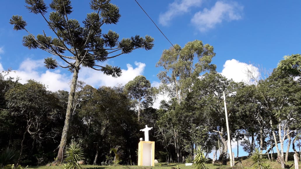 Belíssimo sítio a venda no município de Toledo-MG. Riquíssimo em água; com tanque de peixe, lago | Código 1081