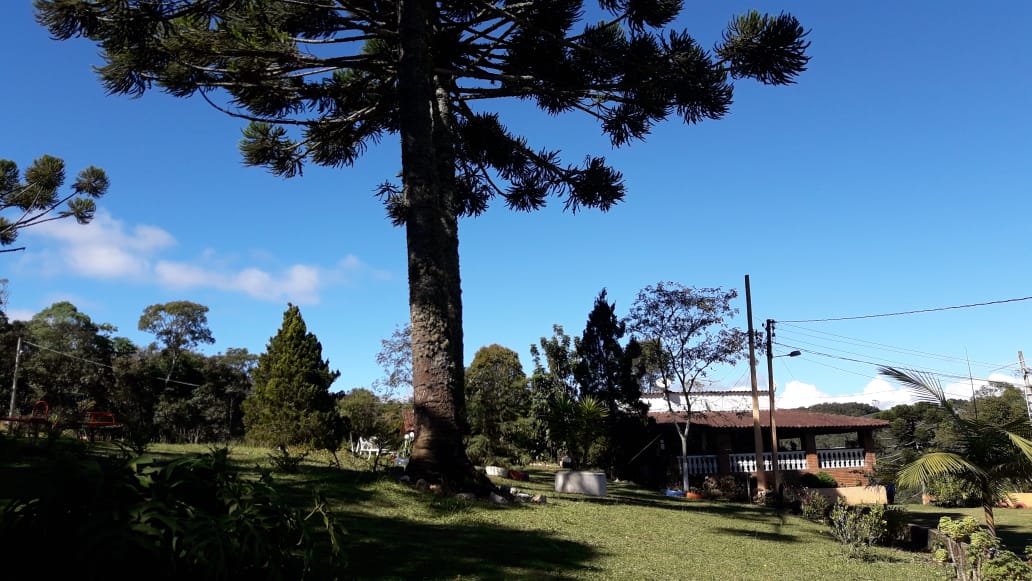 Belíssimo sítio a venda no município de Toledo-MG. Riquíssimo em água; com tanque de peixe, lago | Código 1081