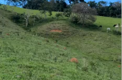 Terreno para formação em sítio. Área 8 hectares - Extrema MG Código 1097