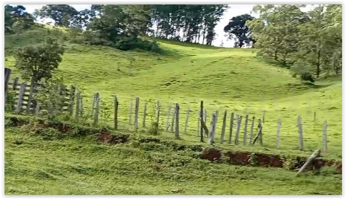 Sítio para empreendimento imobiliário ou turístico, ótima localização Extrema - MG Código 1098