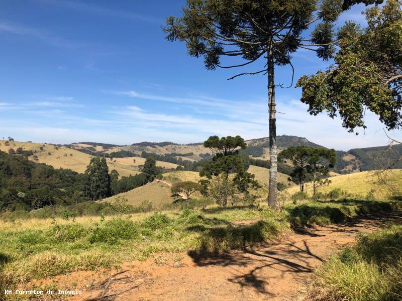 Terreno com vista panorâmica. Está na hora de realizar o sonho da casa no campo I Toledo-mg