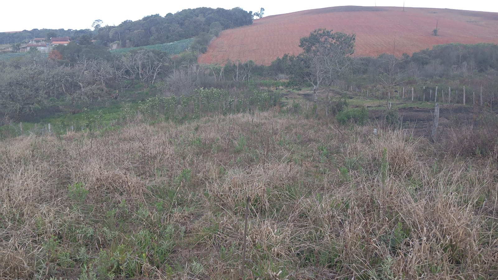 Terreno com 2.340 localizado em Munhoz, ótima chegada. Código 1137