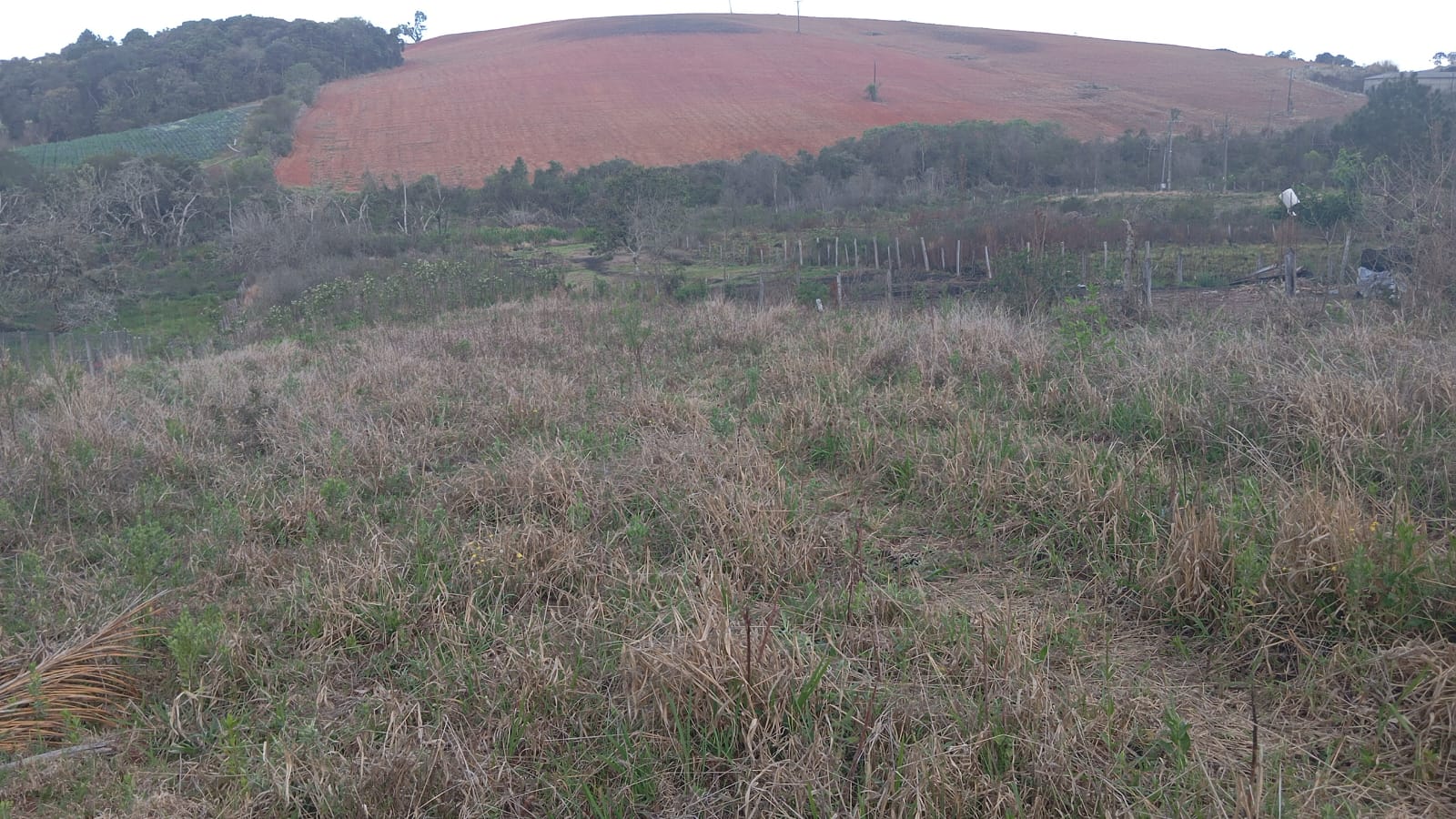 Terreno com 2.340 localizado em Munhoz, ótima chegada. Código 1137