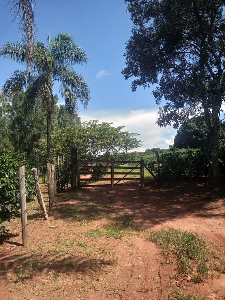 Sítio, 5 alqueires, casa grande de 2 quartos, suíte, wc social, sala, cozinha americana Cód 1139