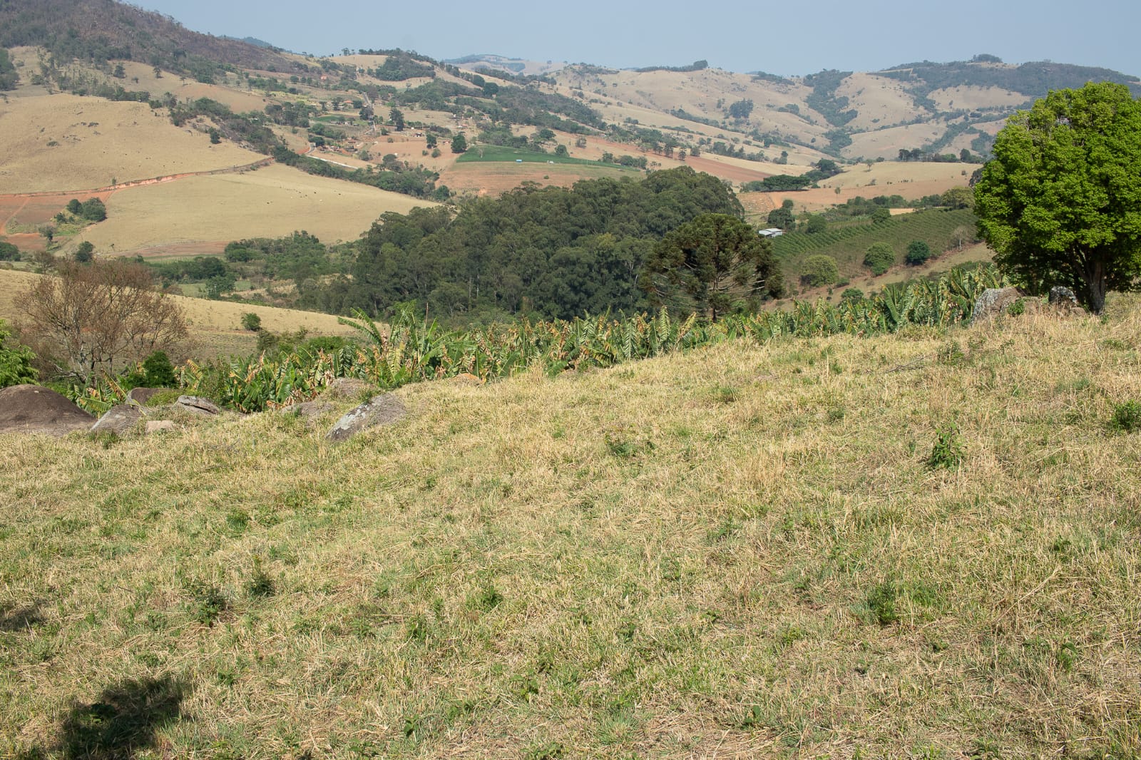Terreno com galpão de 60 metros muito bem localizado - Munhoz MG - Cod. 1142