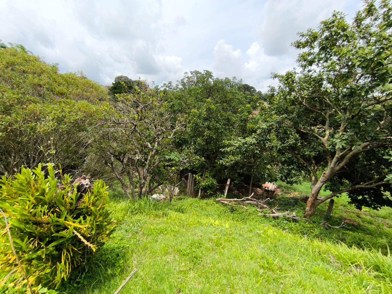 Chácara com Casa com 4 quartos em Toledo MG Cód. 1143