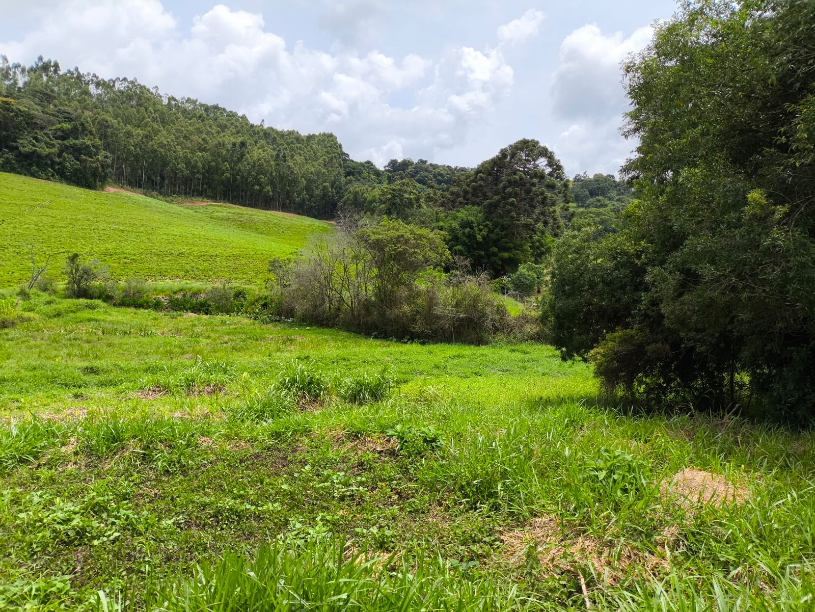 Chácara com Casa com 4 quartos em Toledo MG Cód. 1143