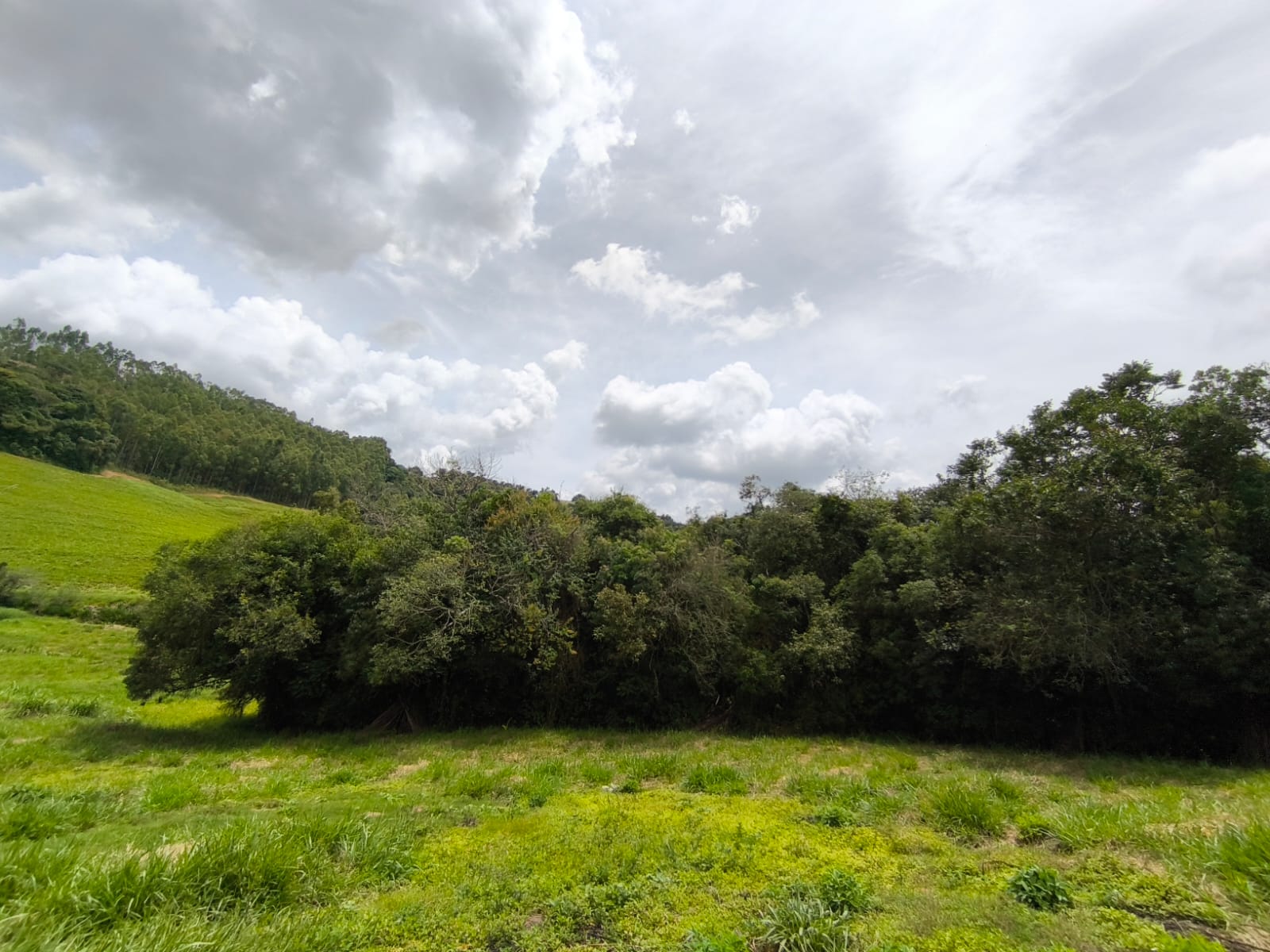 Chácara com Casa com 4 quartos em Toledo MG Cód. 1143