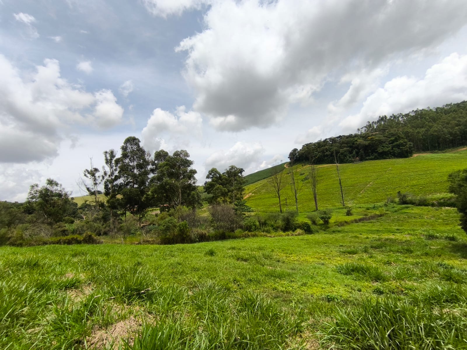 Chácara com Casa com 4 quartos em Toledo MG Cód. 1143