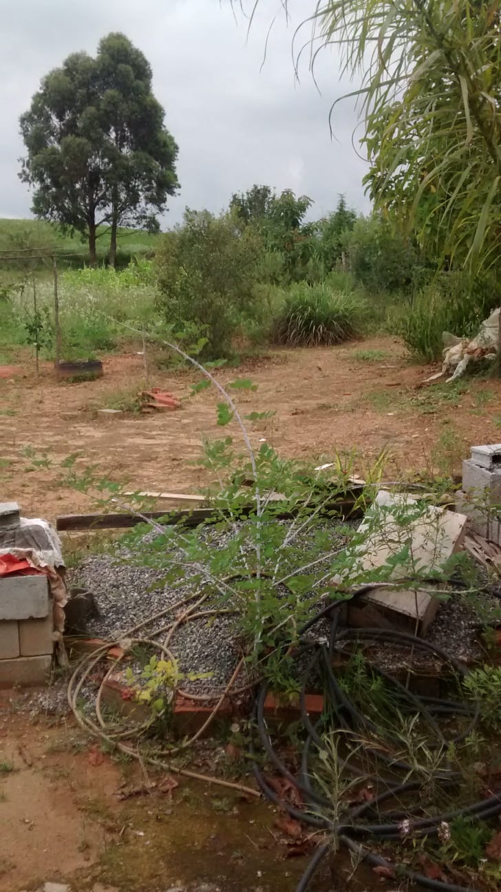 Chácara com casa grande próxima à lago de pesca e cachoeira em Munhoz - MG Cód. 1147