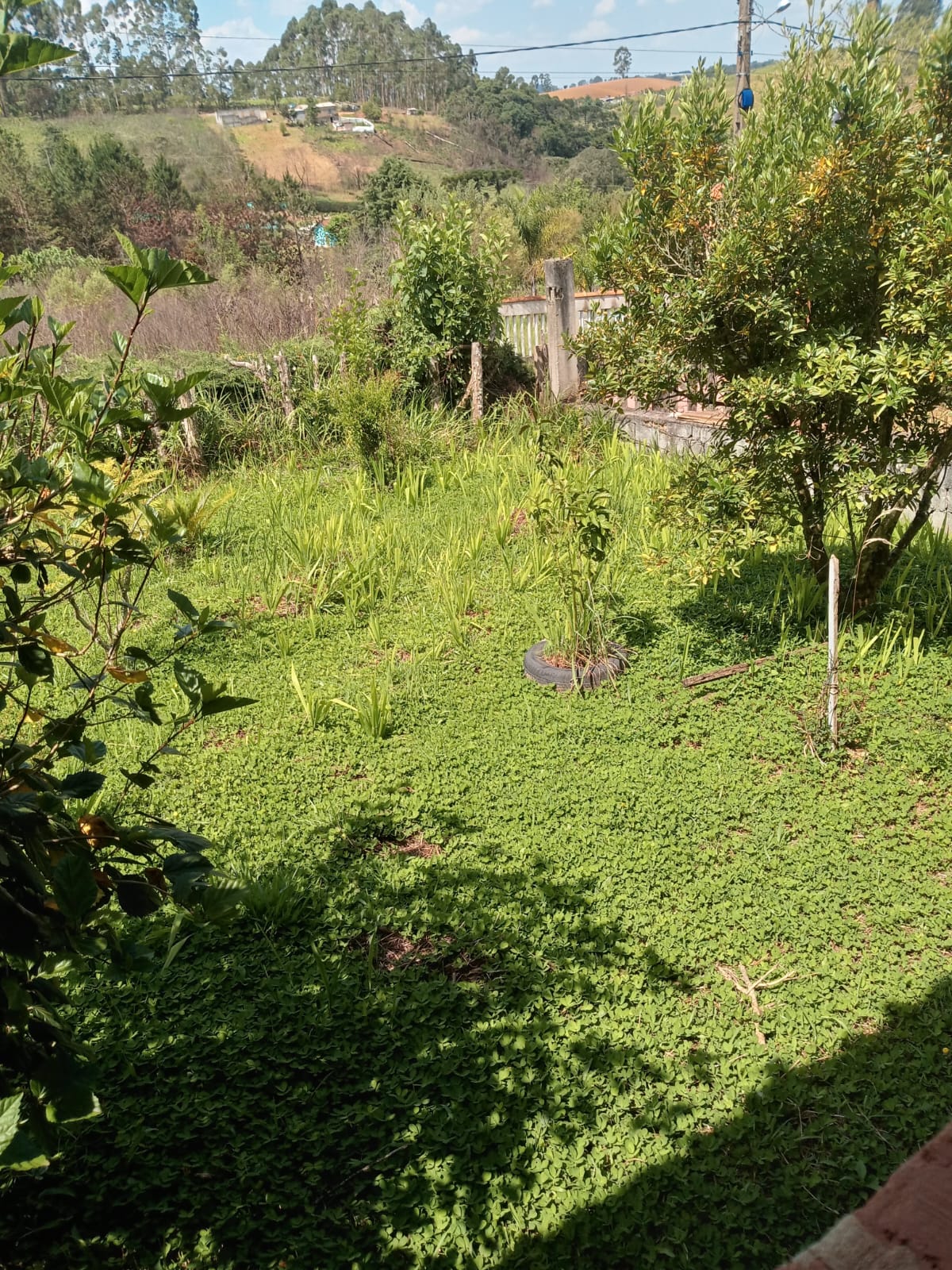 Chácara com casa grande próxima à lago de pesca e cachoeira em Munhoz - MG Cód. 1147