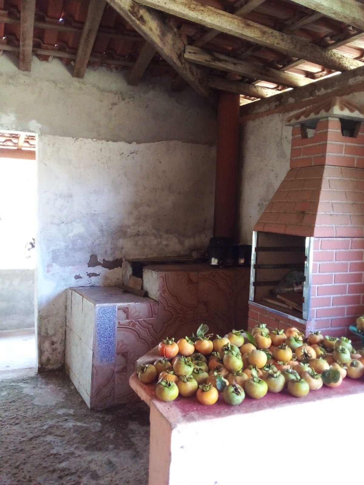chácara com casa excelente localização topografia plana - Munhos MG