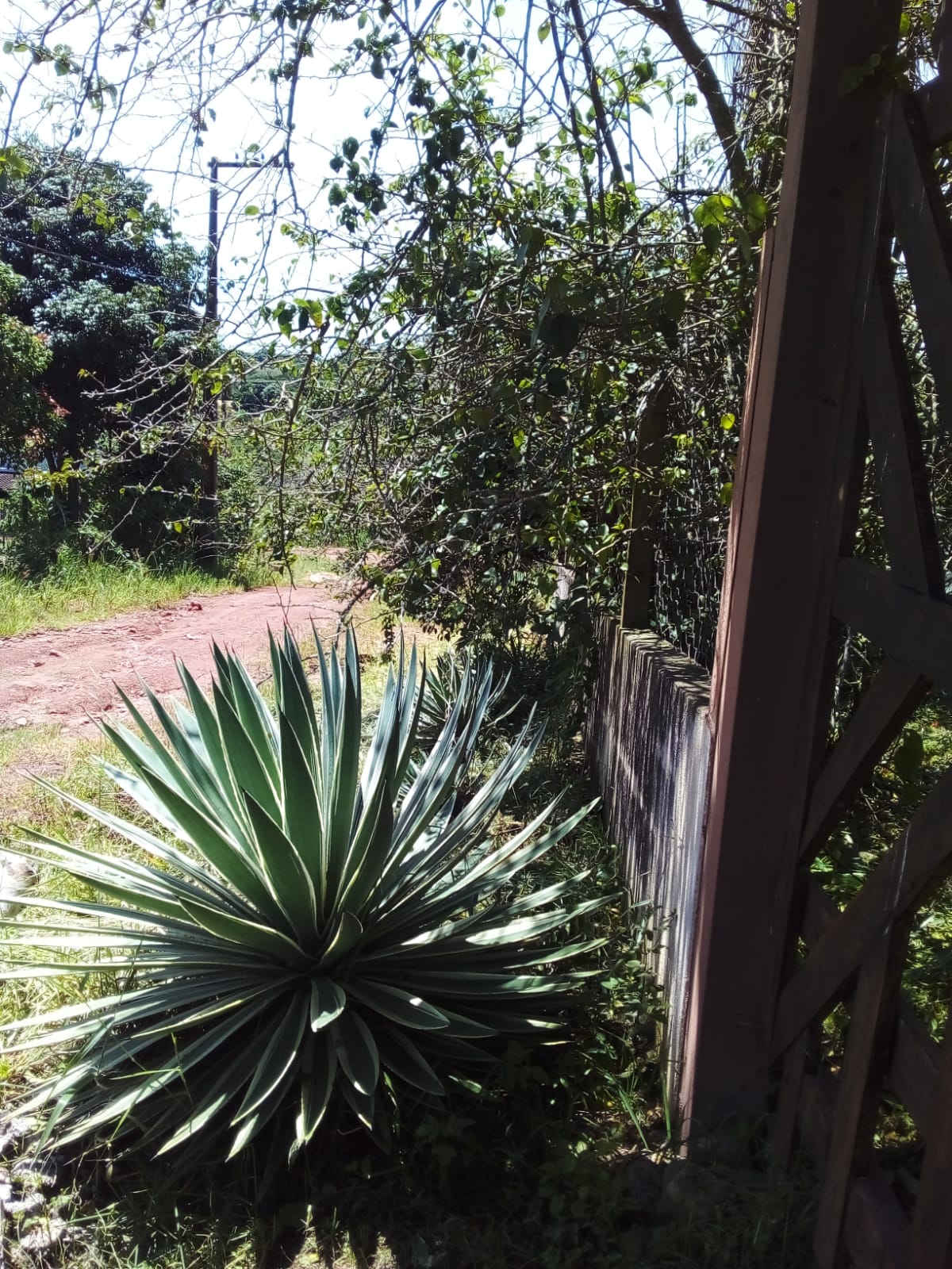 chácara com casa excelente localização topografia plana - Munhos MG