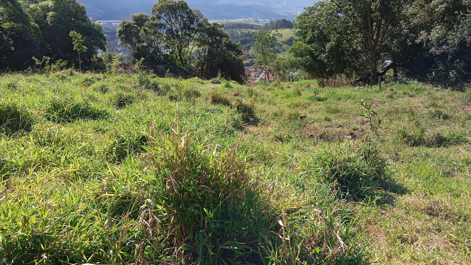 Terreno de 5.000m² Localização privilegiada: A apenas 3 km do centro de Extrema Cod - 1233