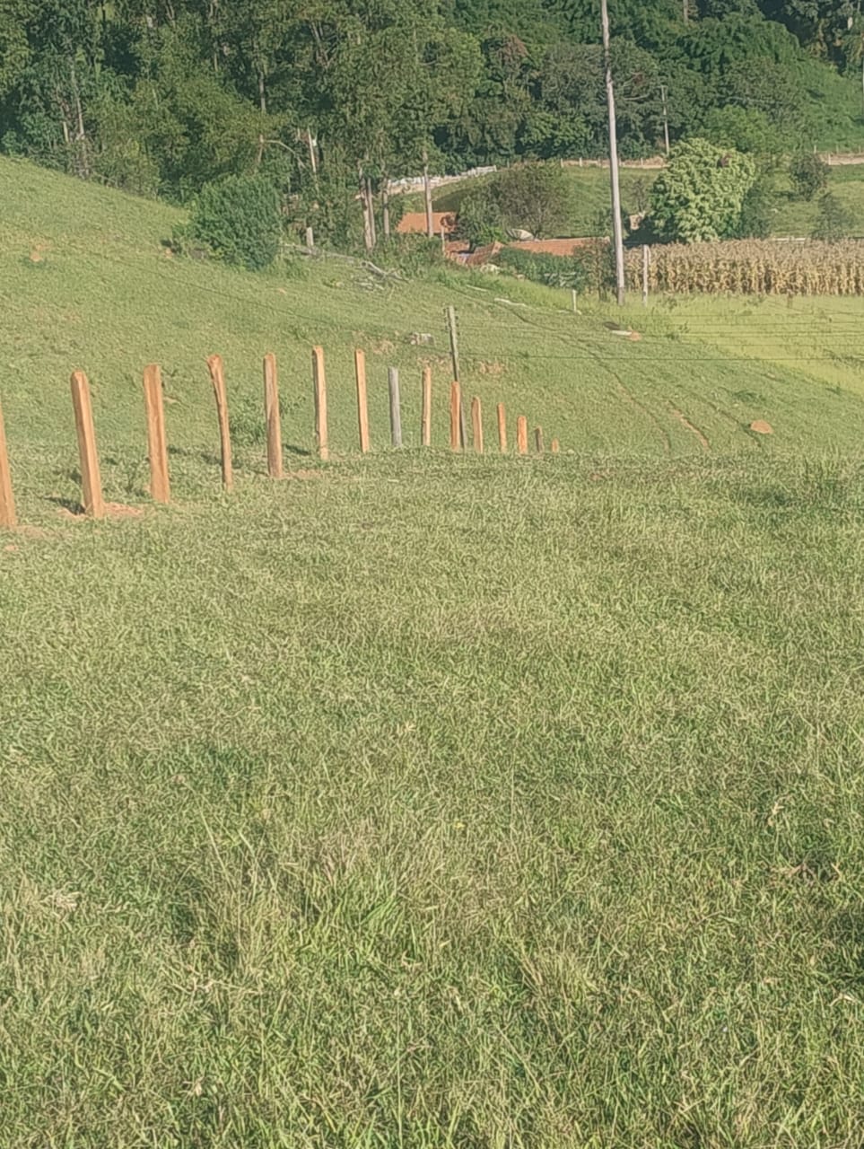 Terreno com 6.000 metros - Seu sonho de um refúgio nas montanhas começa aqui! Cod 1154