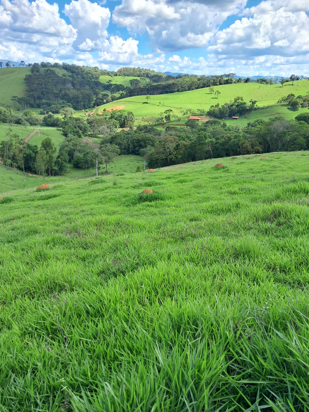 Belíssimo terreno localizado no município de Camanducaia à 7 km da cidade Cód. 1155