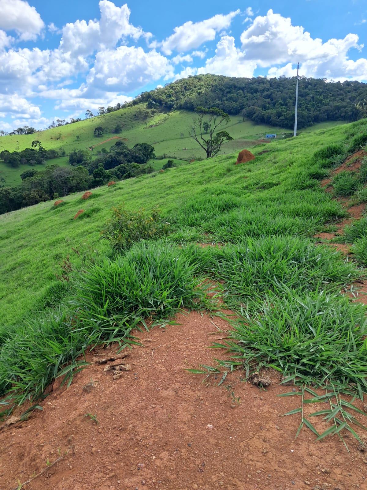 Belíssimo terreno localizado no município de Camanducaia à 7 km da cidade Cód. 1155