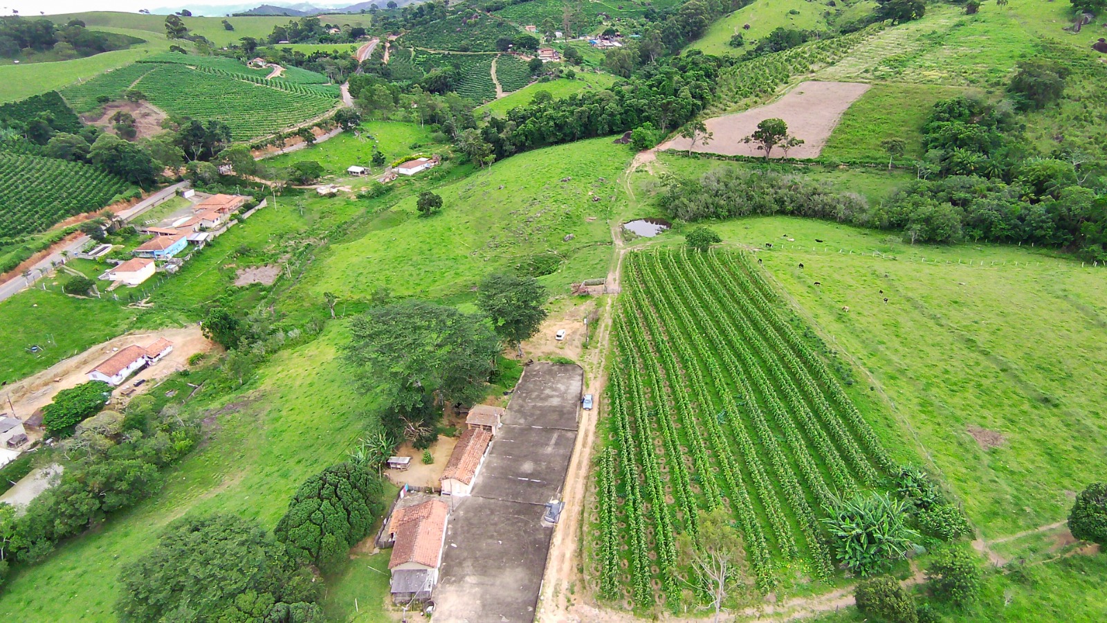 Fazenda para café ou gado com 33,5 alqueires em Ouro Fino - Minas Gerais