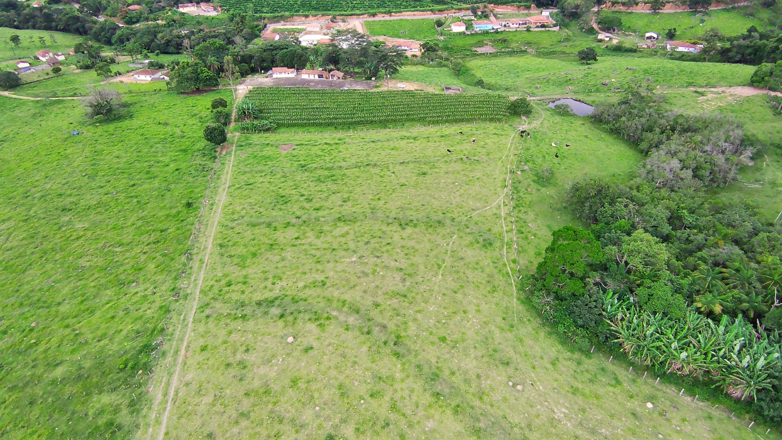 Fazenda para café ou gado com 33,5 alqueires em Ouro Fino - Minas Gerais