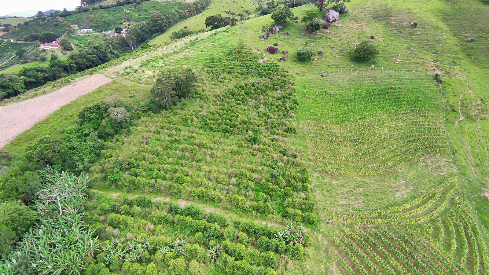Fazenda para café ou gado com 33,5 alqueires em Ouro Fino - Minas Gerais