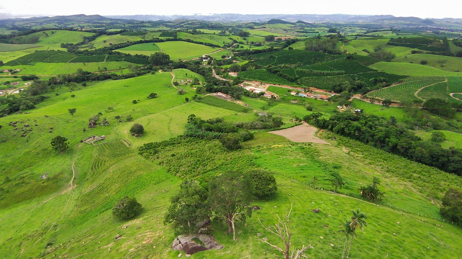 Fazenda para café ou gado com 33,5 alqueires em Ouro Fino - Minas Gerais