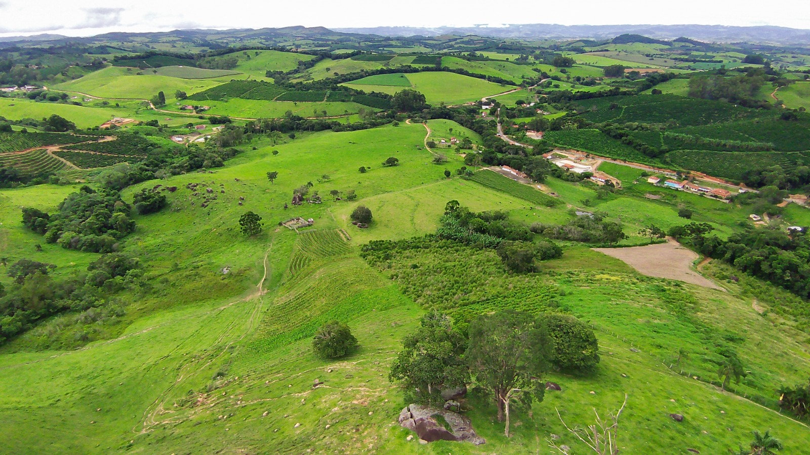 Fazenda para café ou gado com 33,5 alqueires em Ouro Fino - Minas Gerais