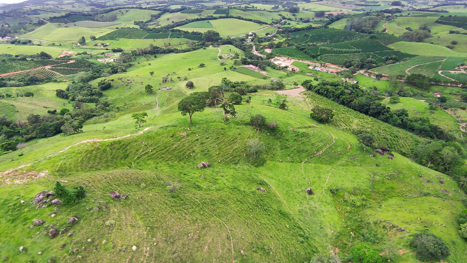 Fazenda para café ou gado com 33,5 alqueires em Ouro Fino - Minas Gerais