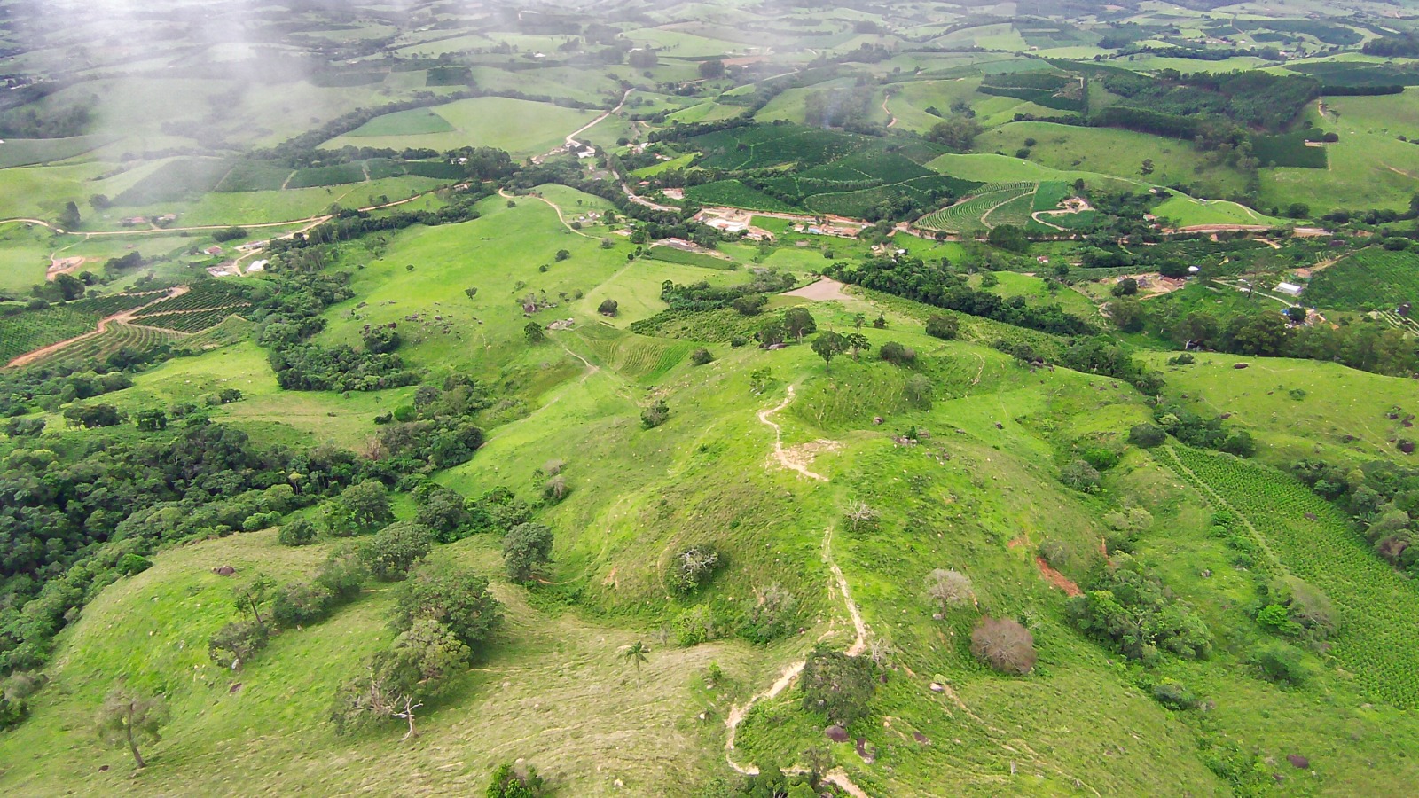 Fazenda para café ou gado com 33,5 alqueires em Ouro Fino - Minas Gerais
