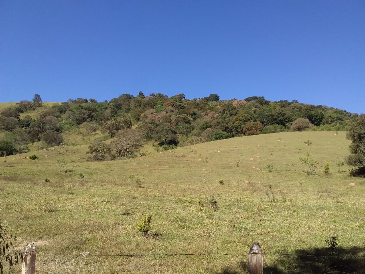 Sítio | Sítio - Casa de tijolo a vista, área gourmet, churrasqueira, lago | Itapeva - MG | código 1157