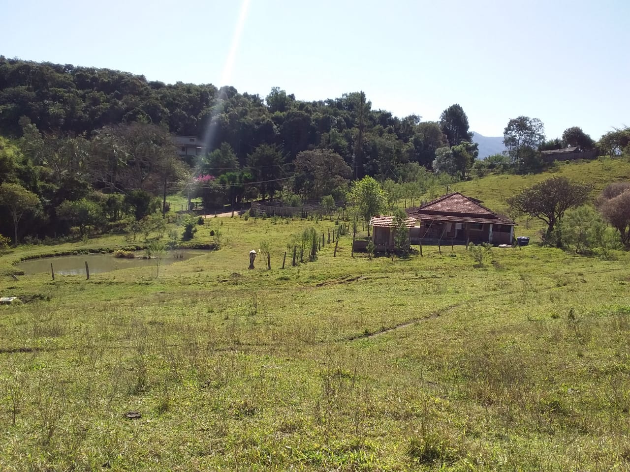 Sítio | Sítio - Casa de tijolo a vista, área gourmet, churrasqueira, lago | Itapeva - MG | código 1157