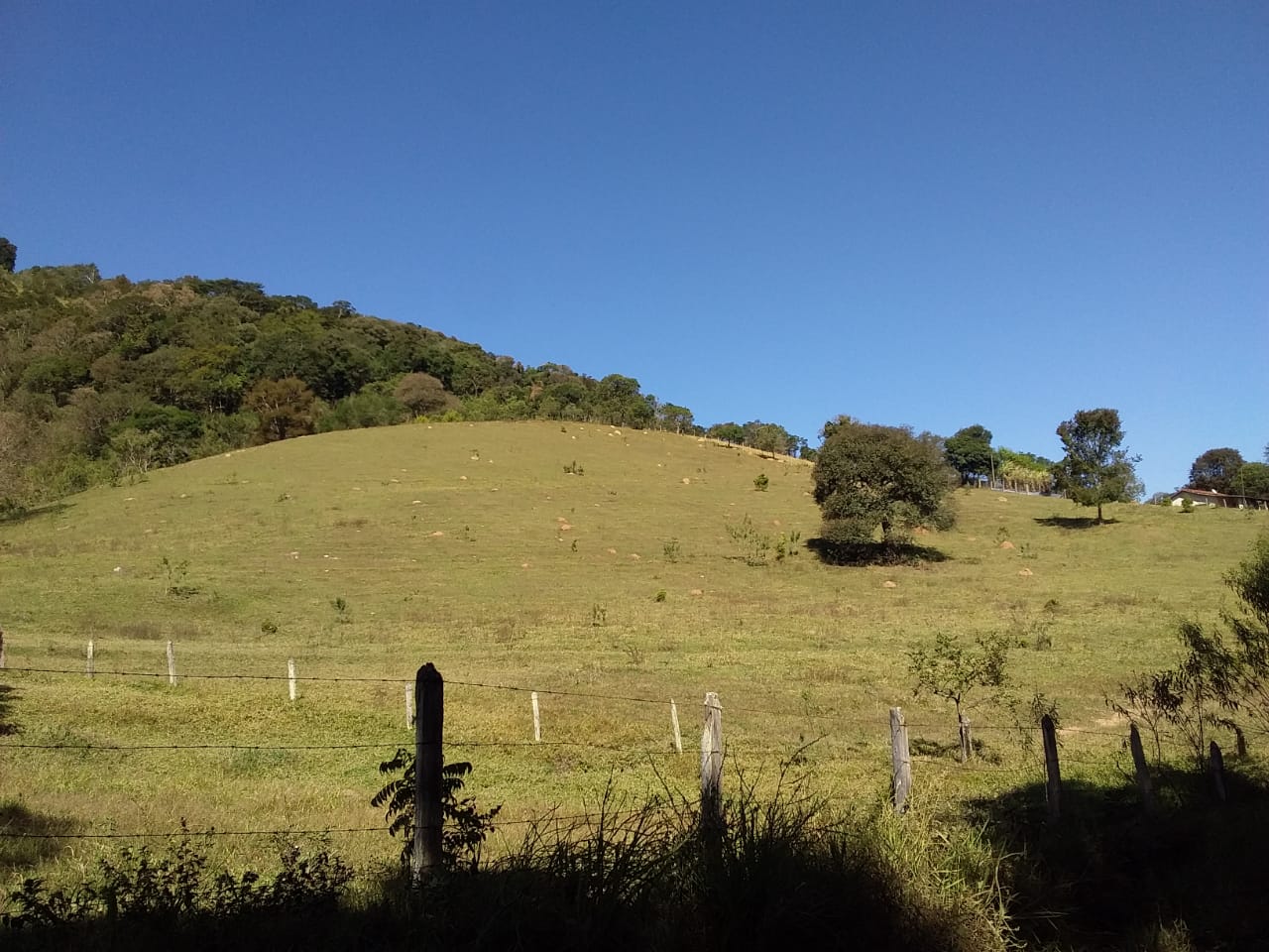 Sítio | Sítio - Casa de tijolo a vista, área gourmet, churrasqueira, lago | Itapeva - MG | código 1157
