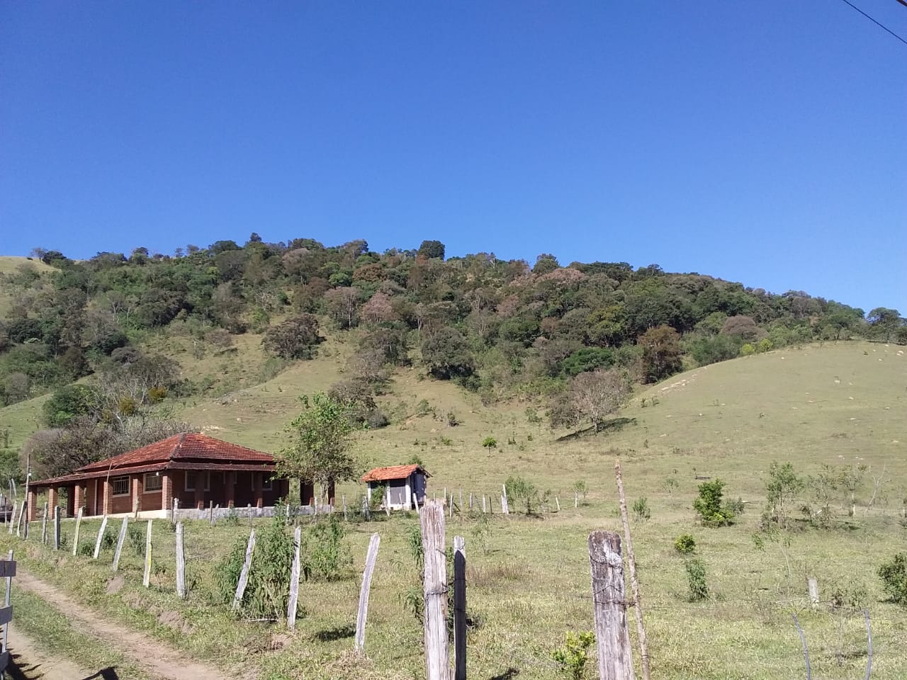 Sítio | Sítio - Casa de tijolo a vista, área gourmet, churrasqueira, lago | Itapeva - MG | código 1157