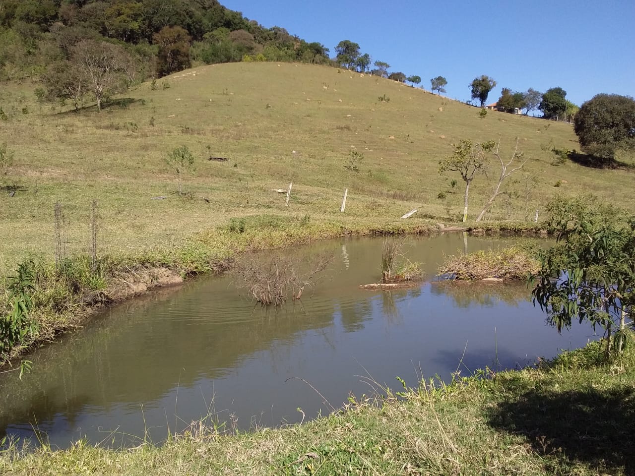 Sítio | Sítio - Casa de tijolo a vista, área gourmet, churrasqueira, lago | Itapeva - MG | código 1157