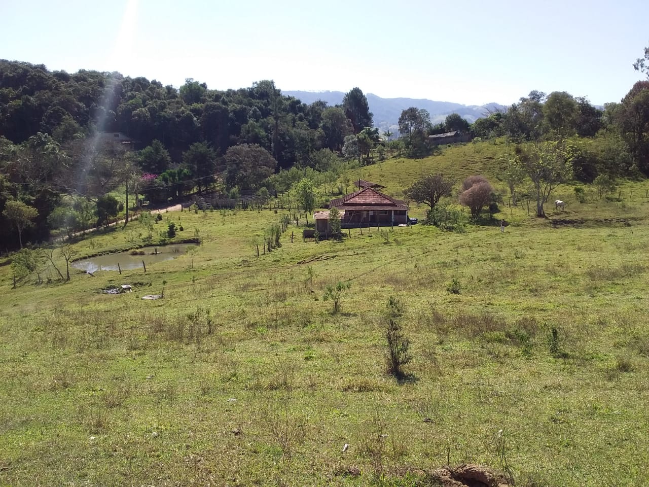 Sítio | Sítio - Casa de tijolo a vista, área gourmet, churrasqueira, lago | Itapeva - MG | código 1157