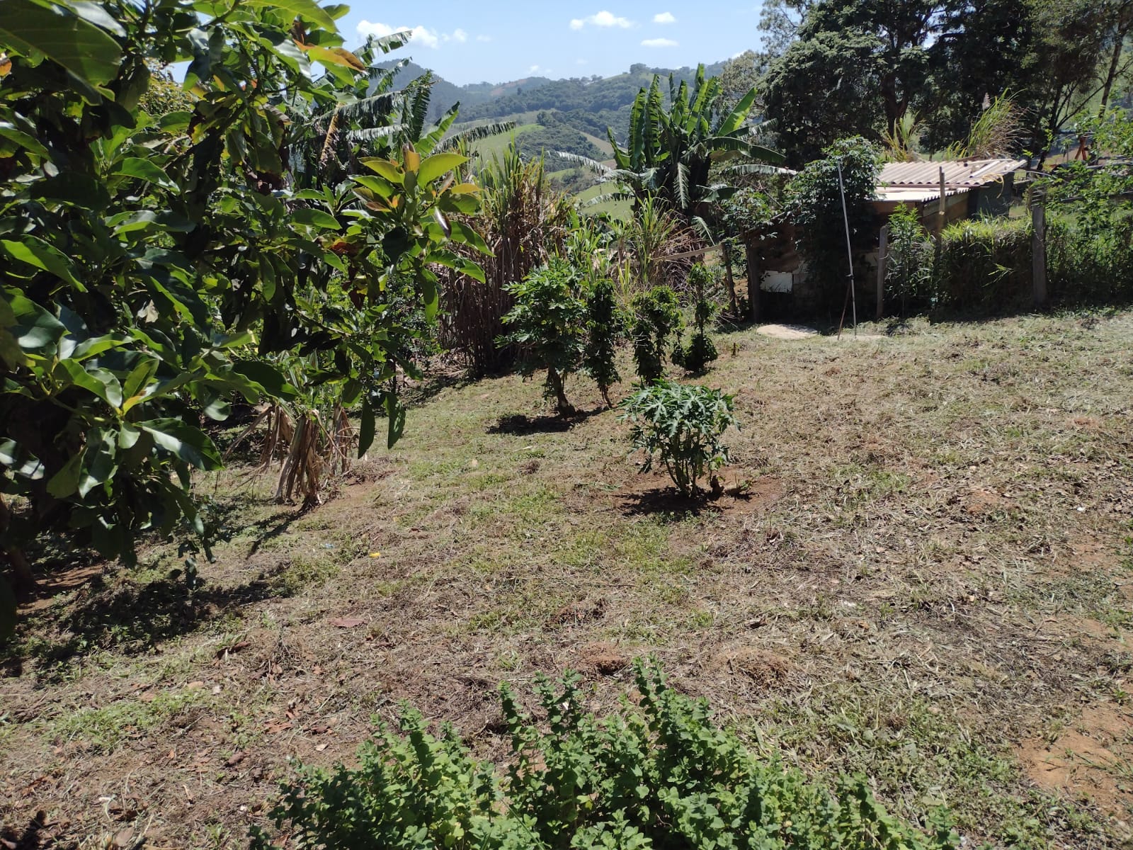 Belíssima chácara  localizado a 7 km do município de Camanducaia- MG  Área : 1.000m² Cod 1158