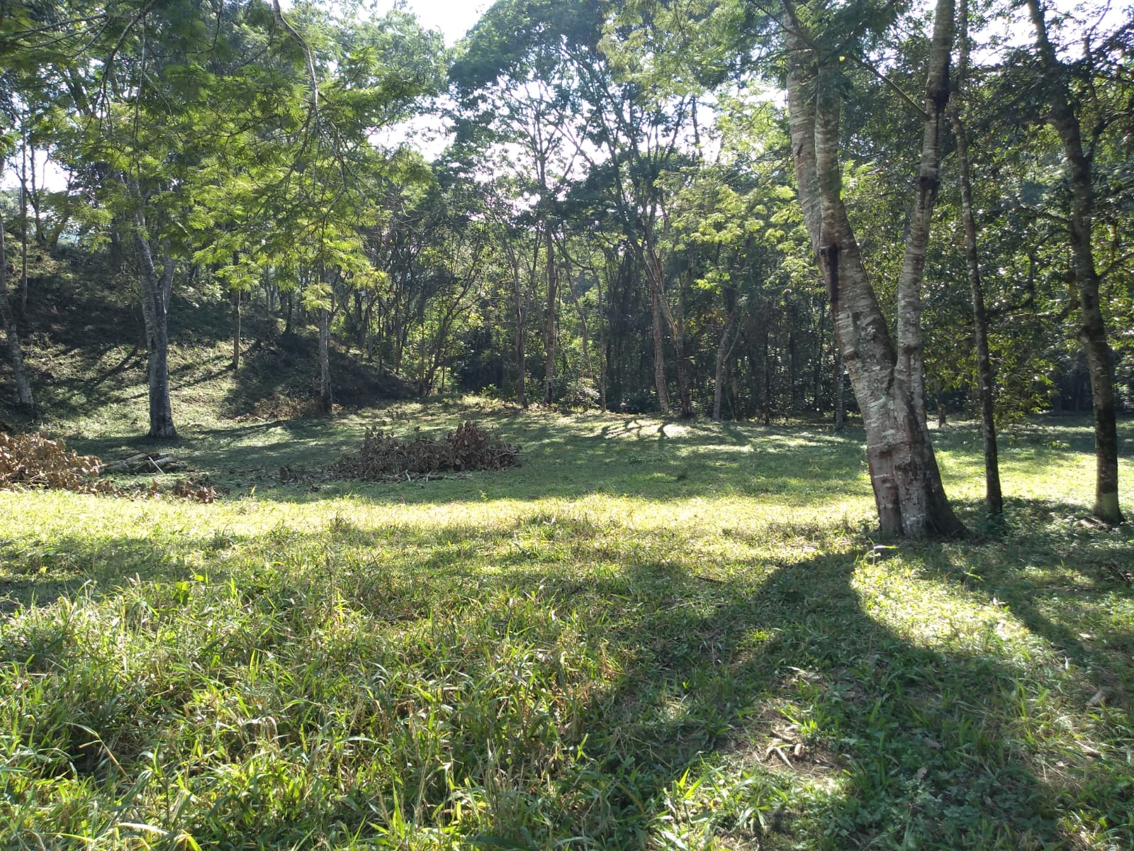 Chácara com casa composta por 3 quartos sendo 1 com suíte, área de 16.000 mts² em Extrema - MG