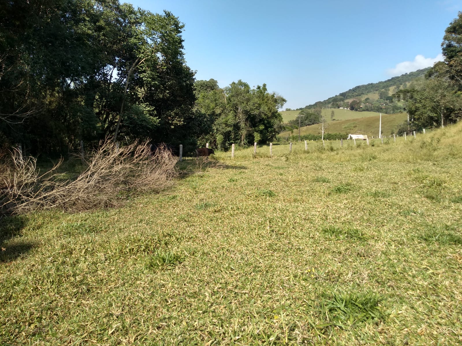 Chácara com casa composta por 3 quartos sendo 1 com suíte, área de 16.000 mts² em Extrema - MG