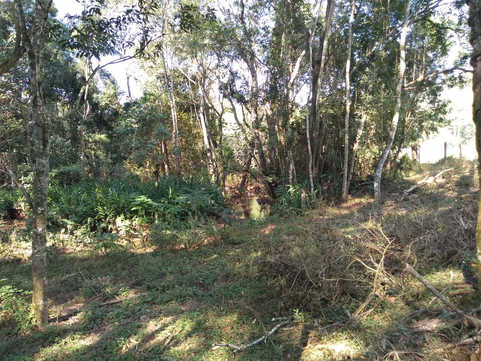 Chácara com casa composta por 3 quartos sendo 1 com suíte, área de 16.000 mts² em Extrema - MG