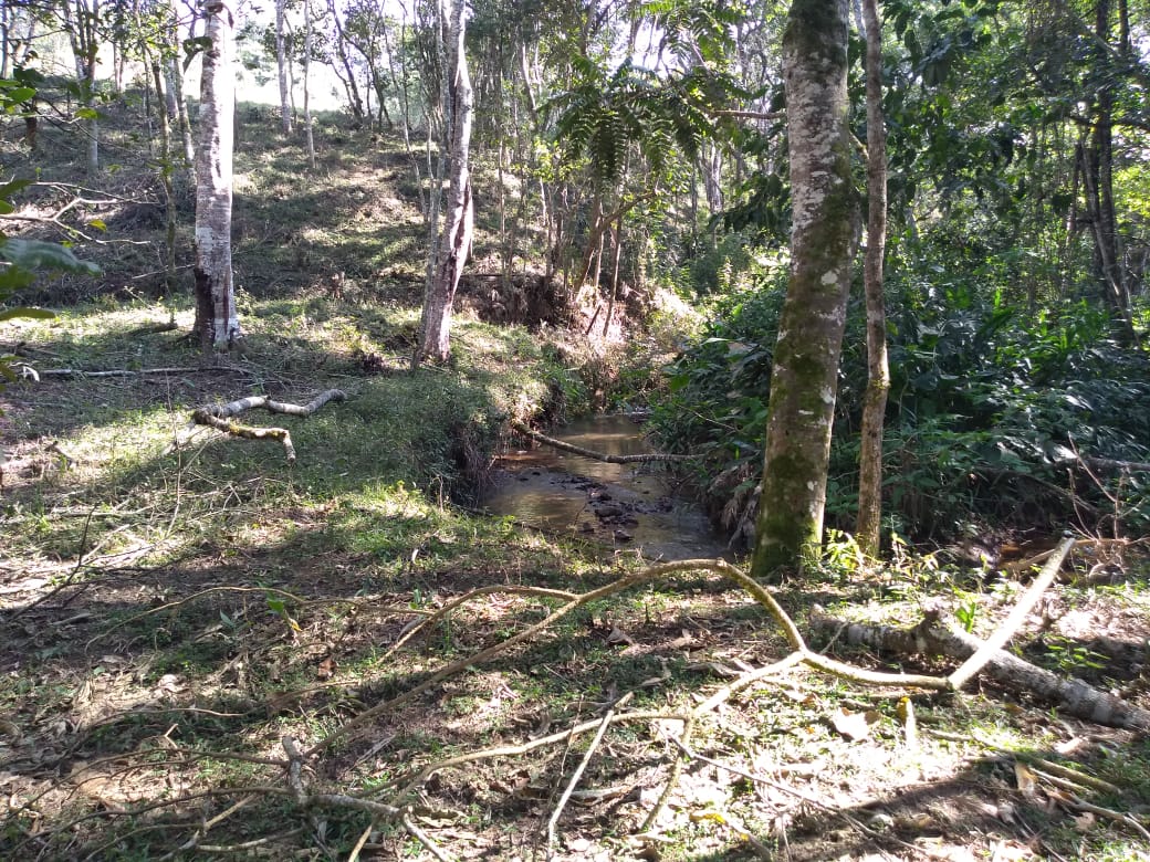 Chácara com casa composta por 3 quartos sendo 1 com suíte, área de 16.000 mts² em Extrema - MG