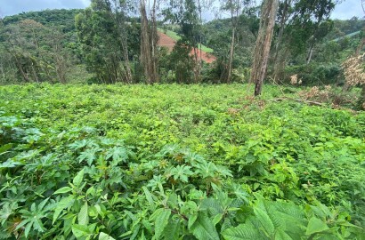VENDE-SE. Excelente área para construção de chácara no município de Camanducaia-MG Cod. 1167