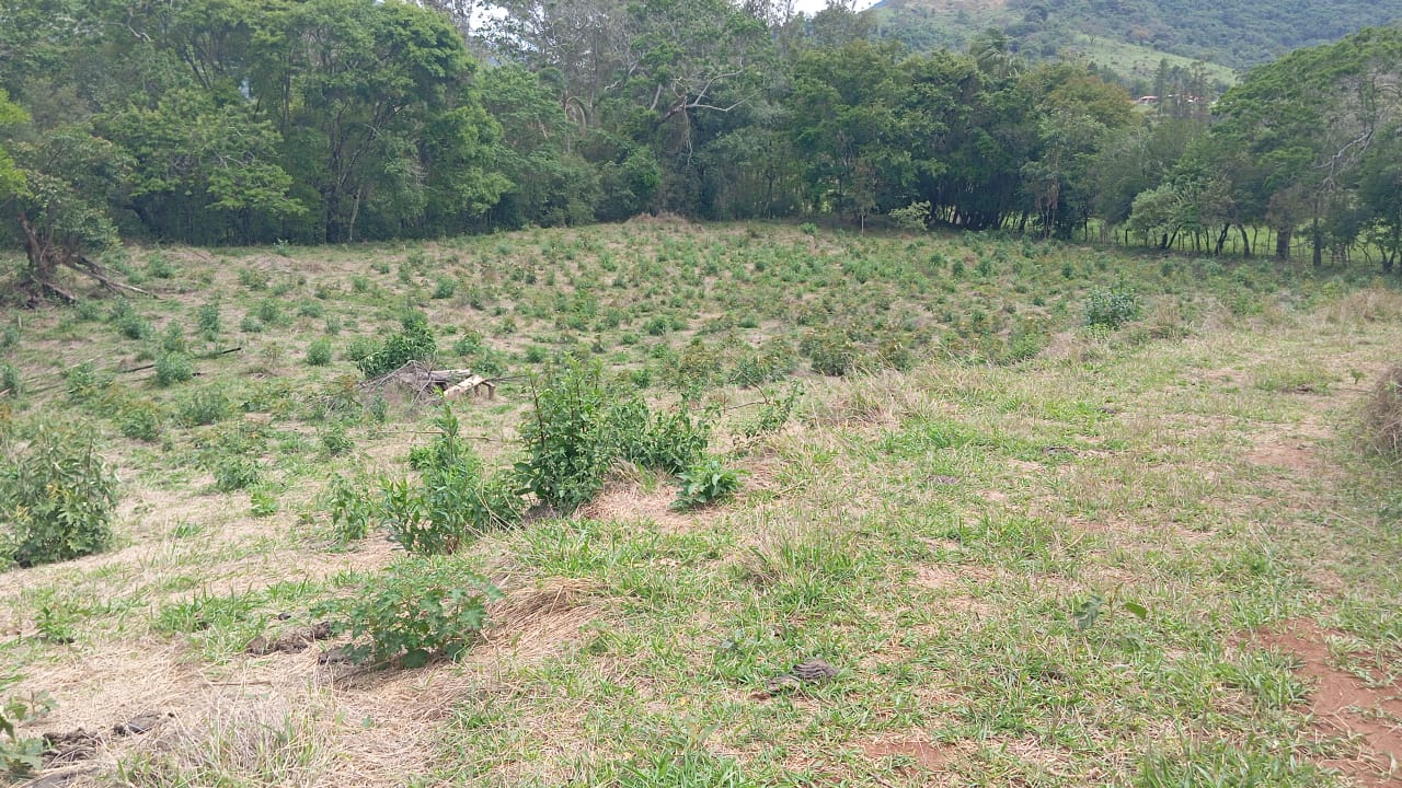 Terreno para formação em chácara ou plantações em Extrema - MG código 1175
