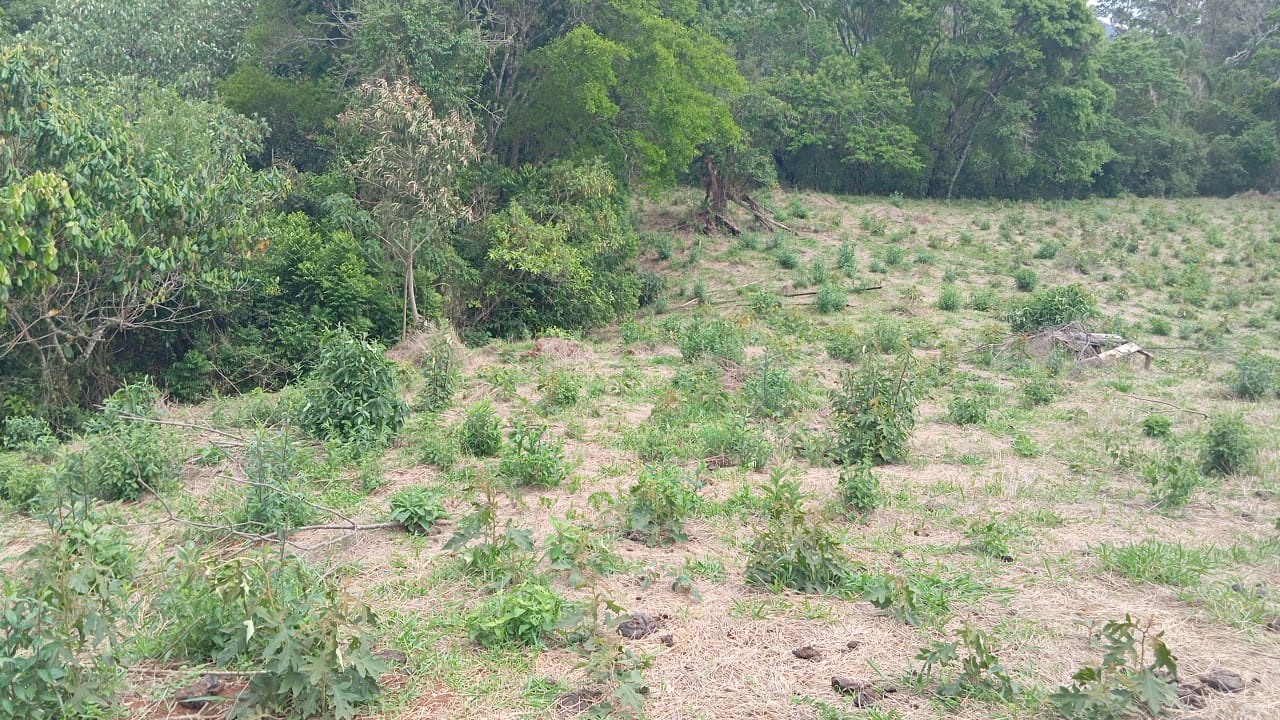 Terreno para formação em chácara ou plantações em Extrema - MG código 1175