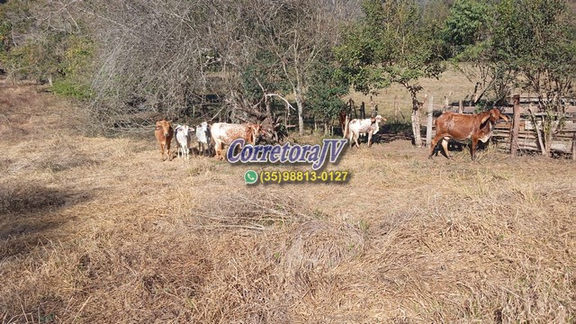 Terreno para formação em chácara ou plantações em Extrema - MG código 1175