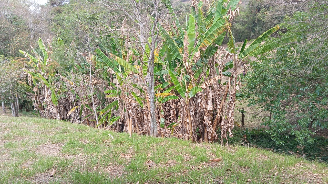 Terreno Ideal para Formação de Chácara – 3 km do centro de Extrema/MG cod. 1182