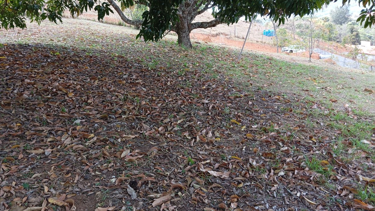 Terreno Ideal para Formação de Chácara – 3 km do centro de Extrema/MG cod. 1182